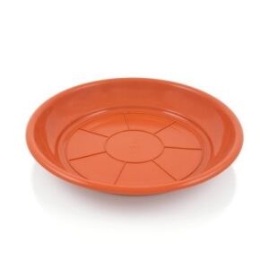 MC PLATO MACETA 18 CMS