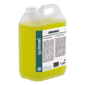 IDS DESENGRASANTE GENERAL 5 LTS